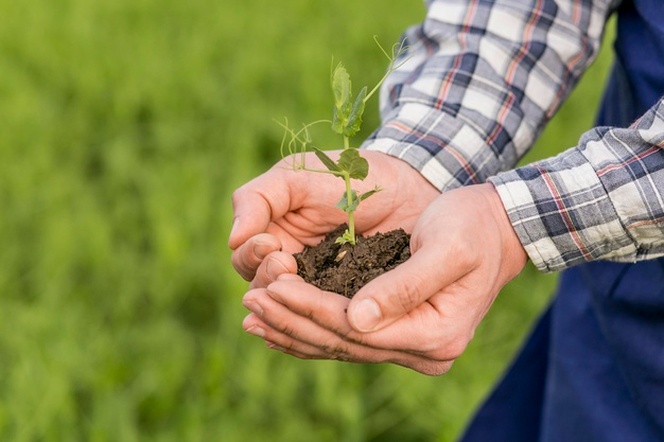 NABU und LBV: Der Vogel des Jahres 2021 ist das RotkehlchenDer beliebte Gartenvogel setzt sich in der ersten Ã¶ffentlichen Wahl gegen Rauchschwalbe und Kiebitz durch