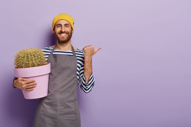 ALDI SÃD bestÃ¤tigt Deutschland-Trend: Mehr als jedes zweite Ei stammt aus Ã¶kologischer Erzeugung oder Freilandhaltung